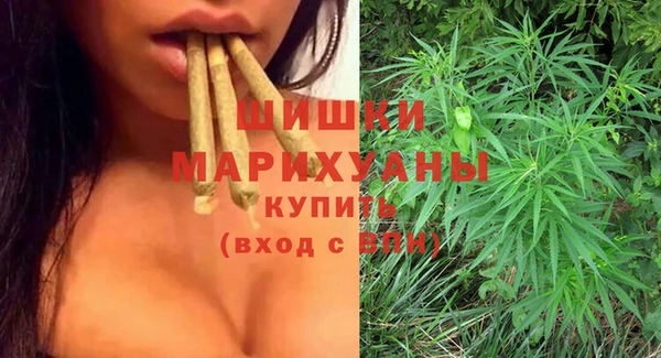шишки Алексеевка