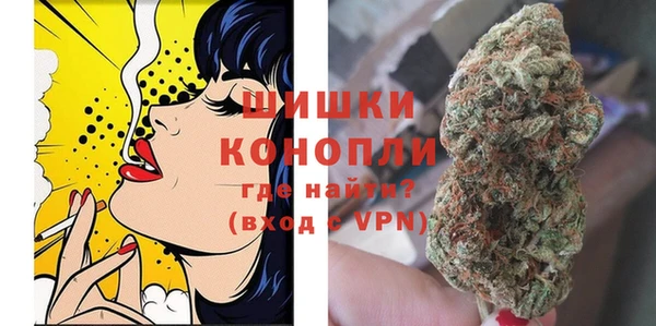 шишки Алексеевка