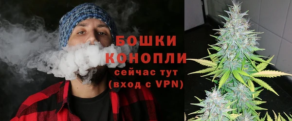 шишки Алексеевка